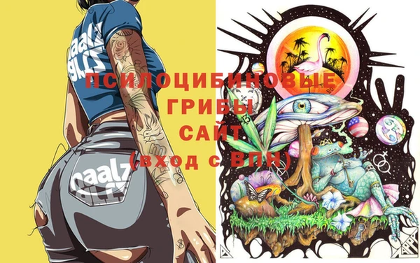 не бодяженный Беломорск