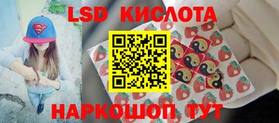 крисы Новодвинск