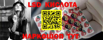 крисы Новодвинск