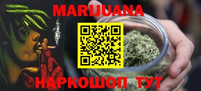 крисы Новодвинск