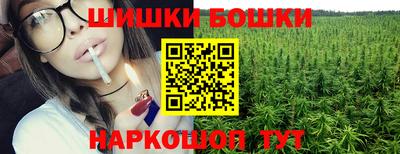 крисы Новодвинск