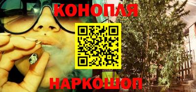 крисы Новодвинск