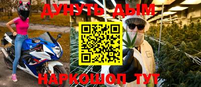 крисы Новодвинск