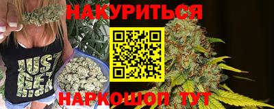 крисы Новодвинск