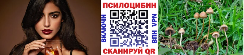 Псилоцибиновые грибы мухоморы Острогожск
