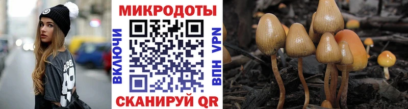 купить закладку  Острогожск  Псилоцибиновые грибы MAGIC MUSHROOMS 
